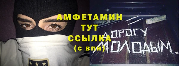 крисы Вязьма