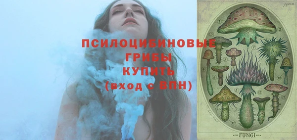стафф Вяземский