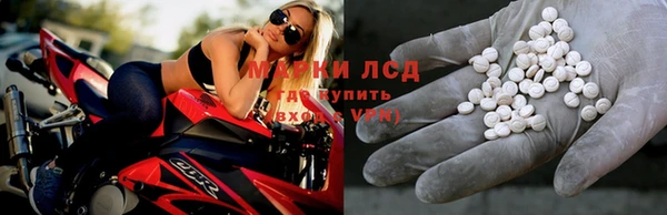 крисы Вязьма