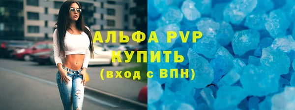 стафф Вяземский