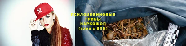 стафф Вяземский