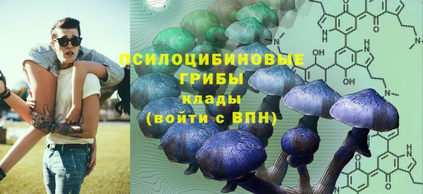 крисы Вязьма
