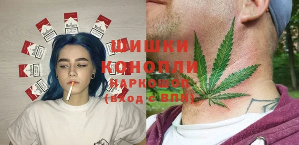 крисы Вязьма