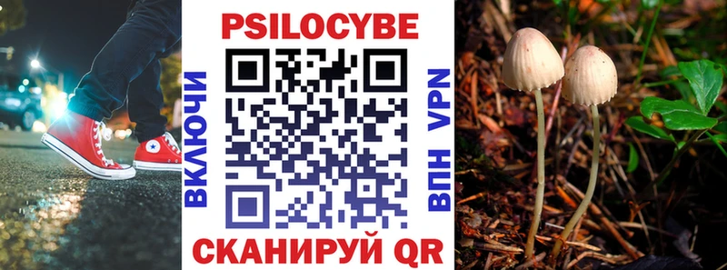 Псилоцибиновые грибы мицелий  Курск 